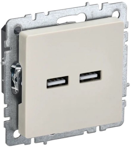 Розетка USB тип A+A без рамки IEK Brite РЮ10-1-БрКр 2-м. 3100мА бежевый картинка